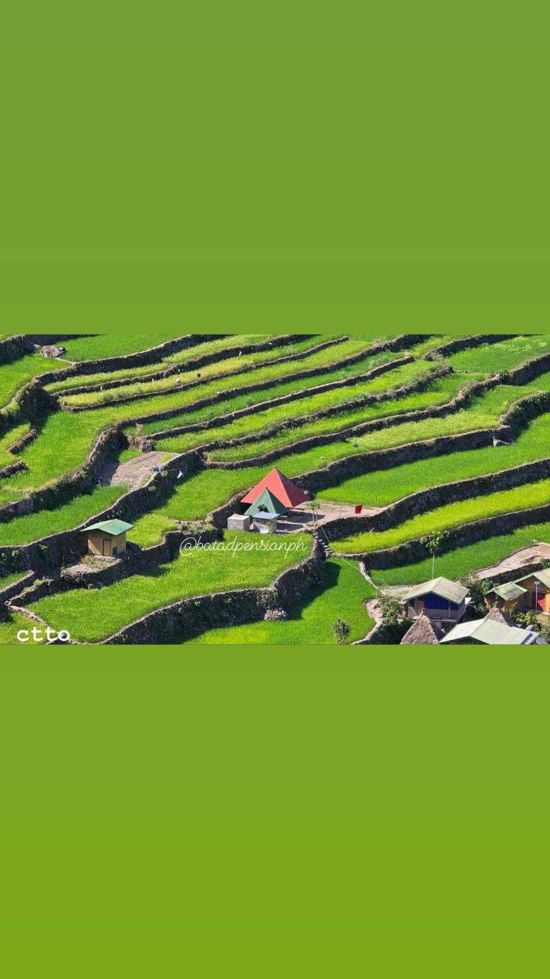 Batad Pension Ph Banaue Exteriör bild
